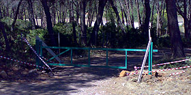 Auto e moto bandite allinterno delle pinete